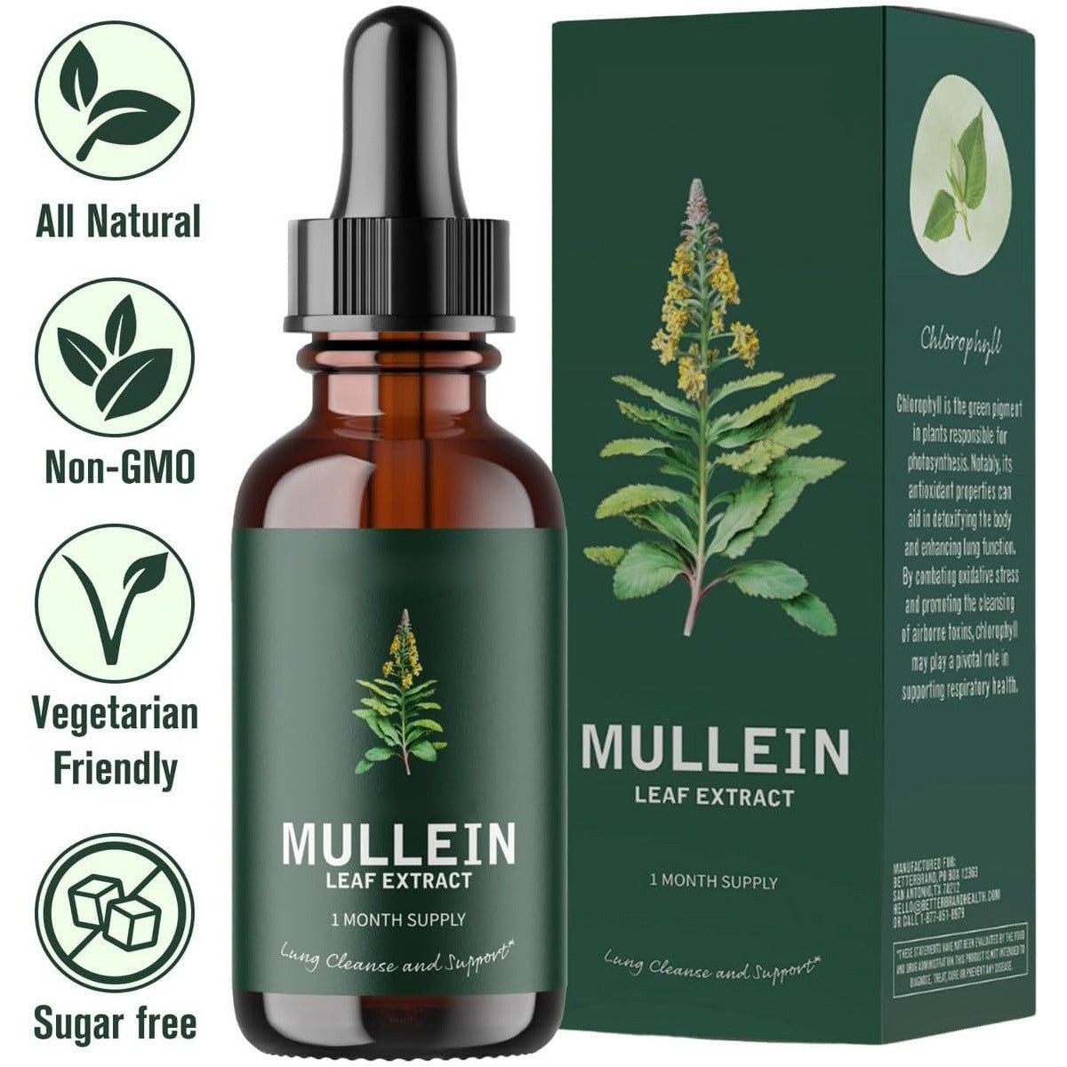 Mullein Verbascum Thapsus Leaf Extract Drops