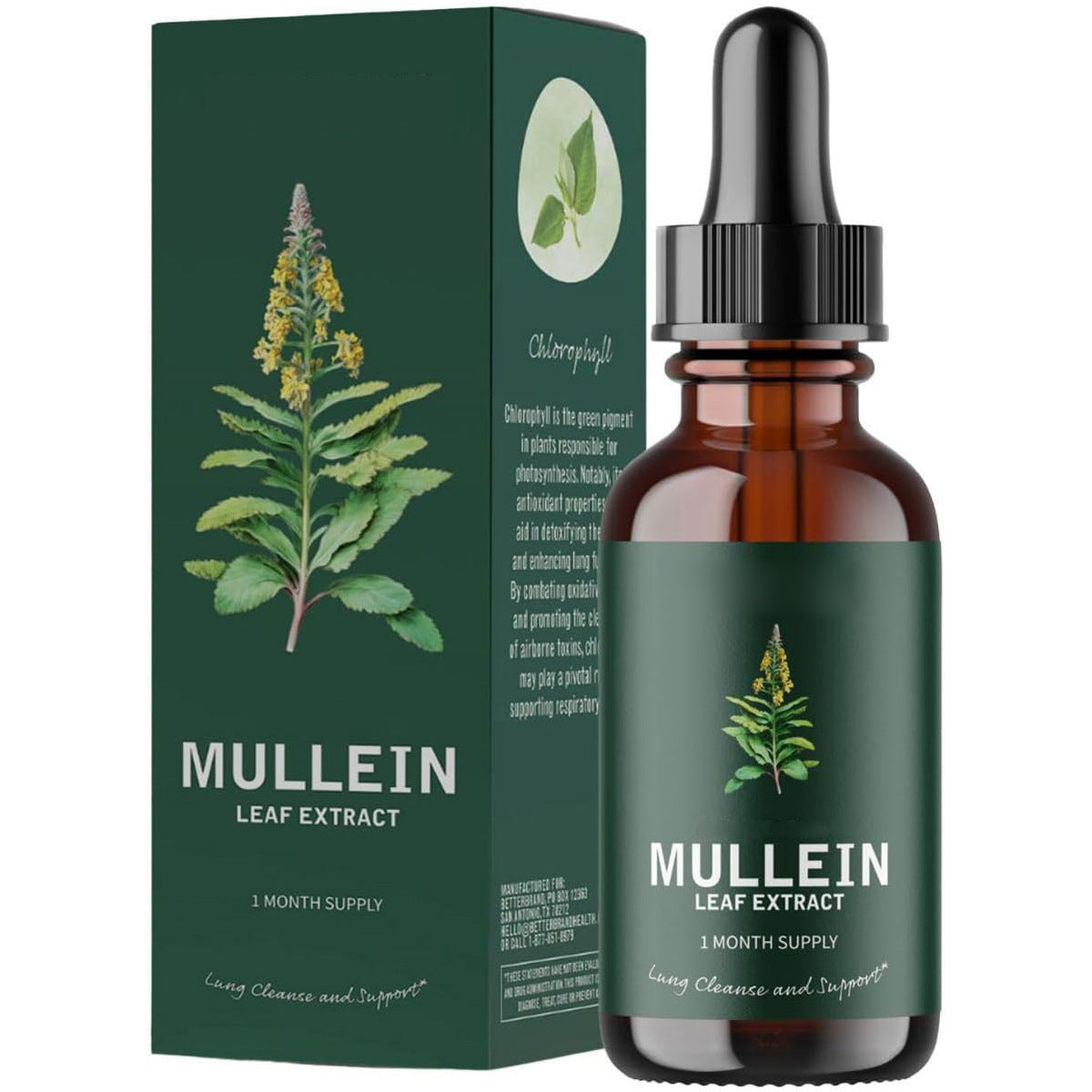 Mullein Verbascum Thapsus Leaf Extract Drops